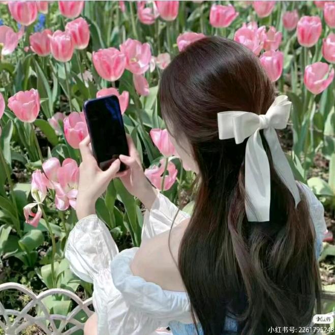 禾泰