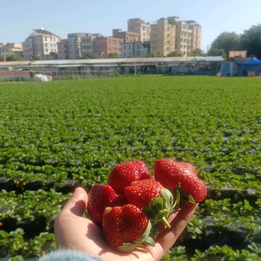👱烟火的季节👧
