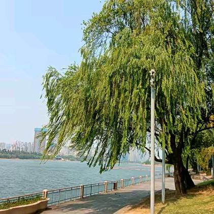 无聊的生活