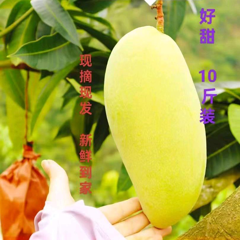 复活