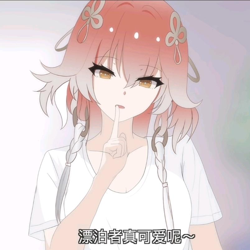 二次元、道士日记（正一.天师道）