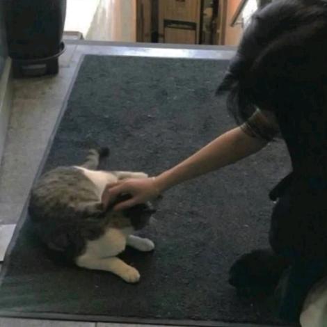 鼻屎抠多了