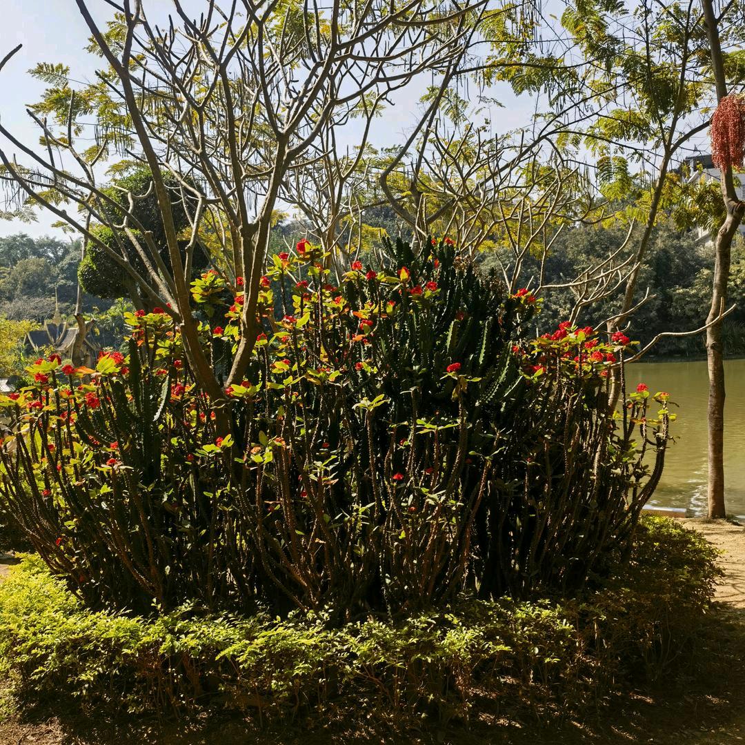 人生是一场修行