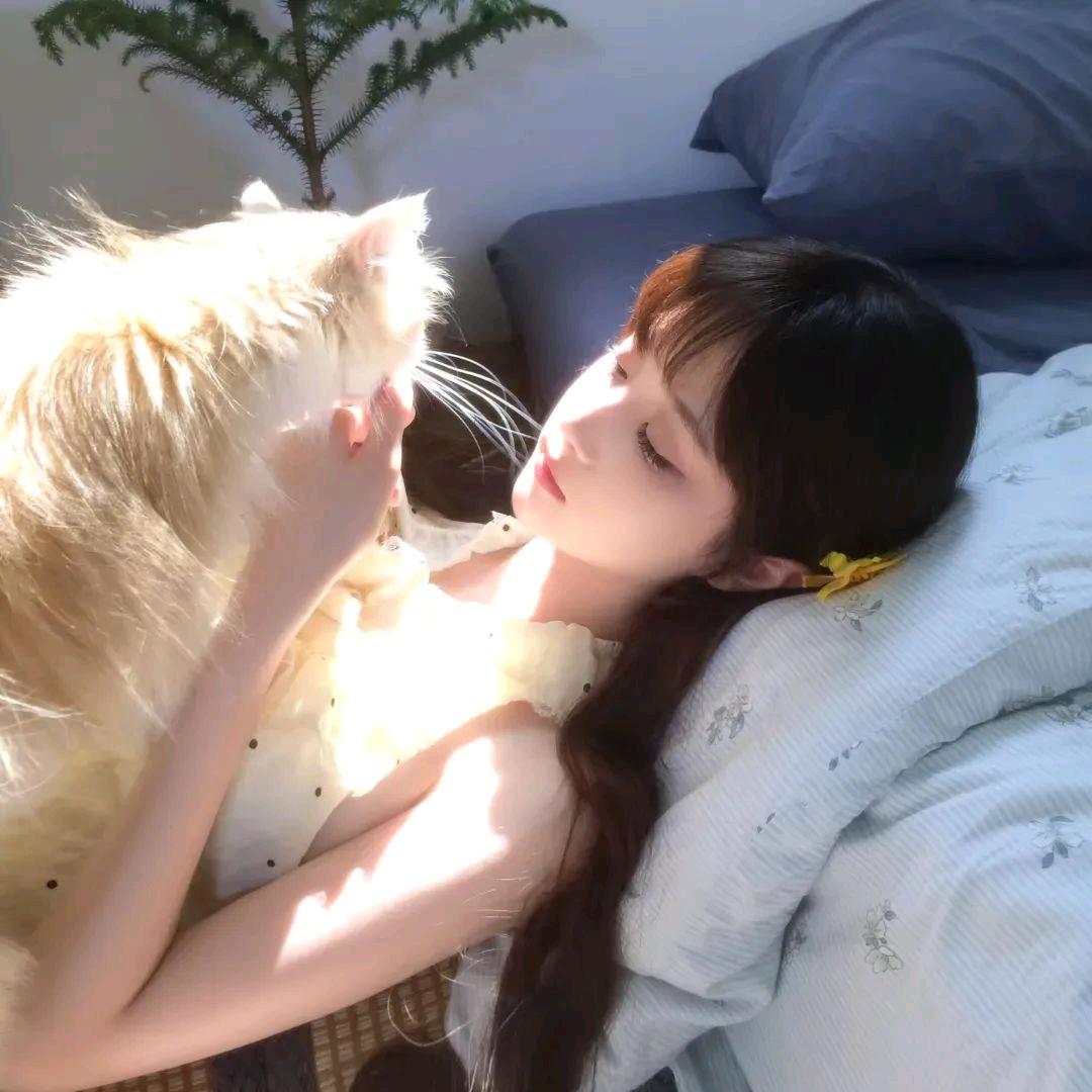 莓莉猫
