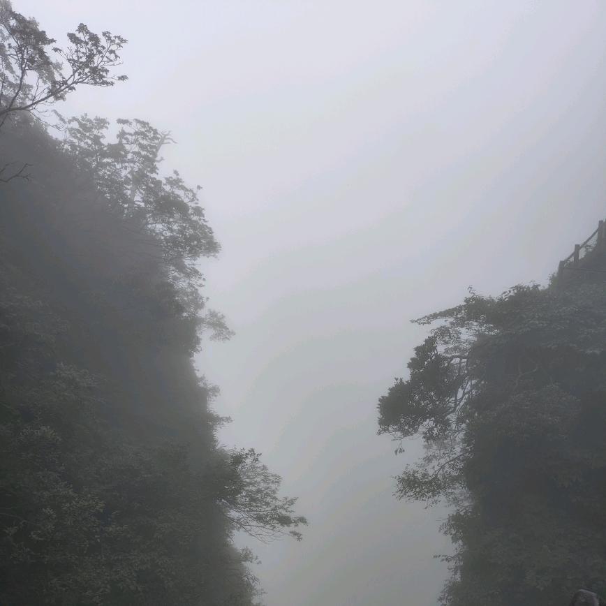 残风雪落