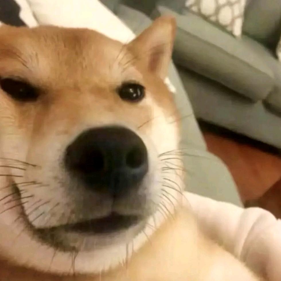 98文案馆