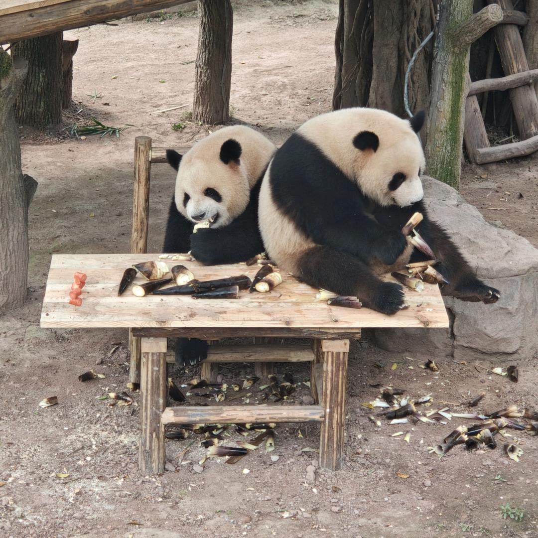 妞妞优品