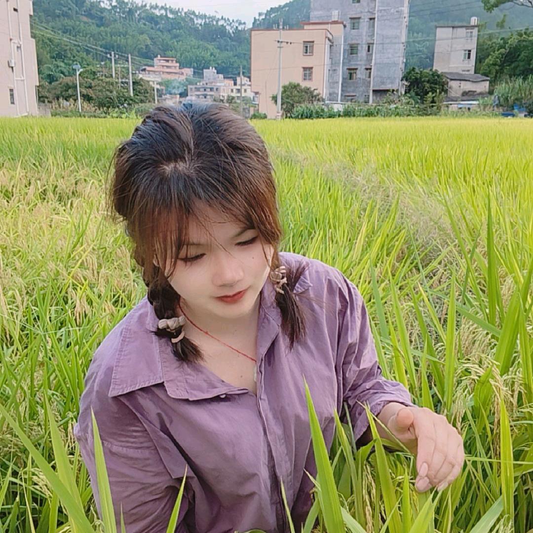 梦想