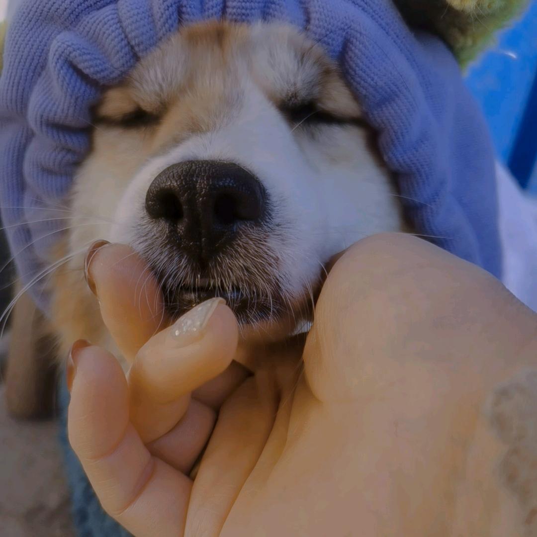 七上八下の芯🐎🌴zang