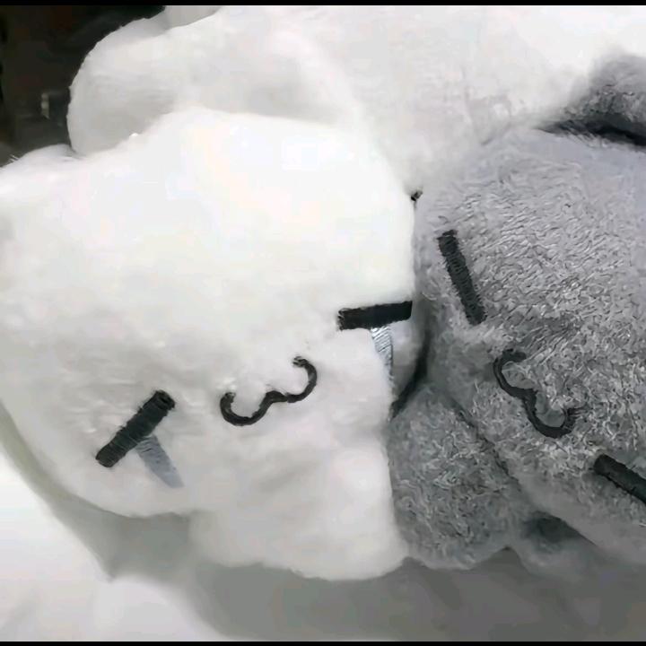 柚子.（求关注）