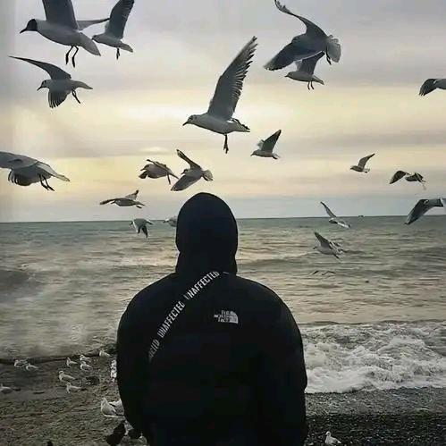 。    。