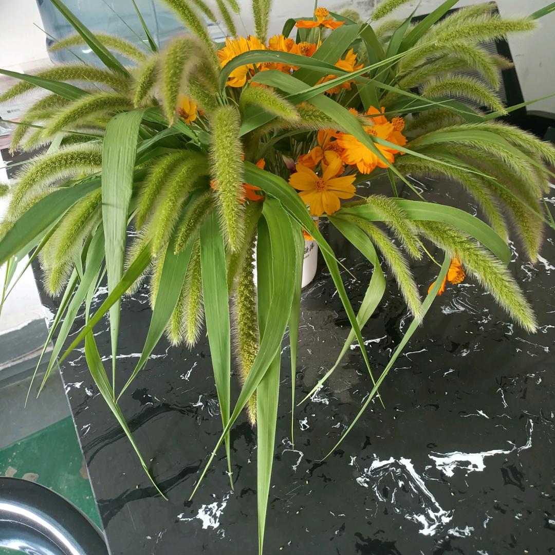 莫强求