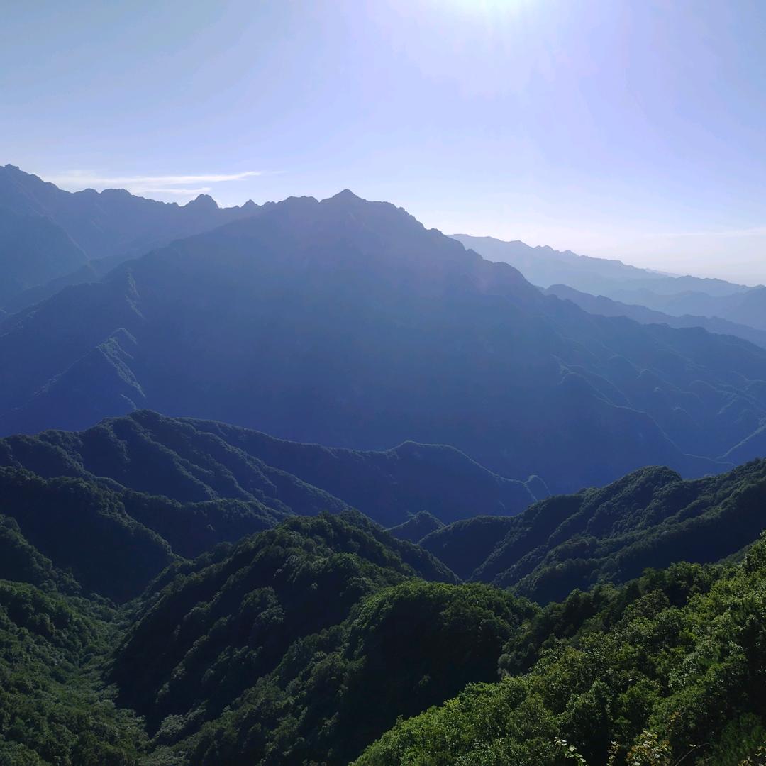 半夏微凉🍃