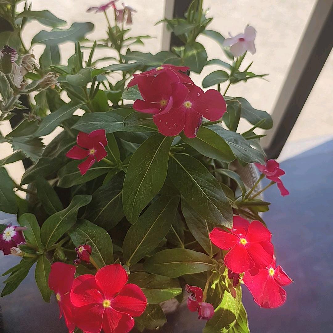 女娲洞农家菜馆