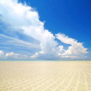 【往后余生，一路有你】