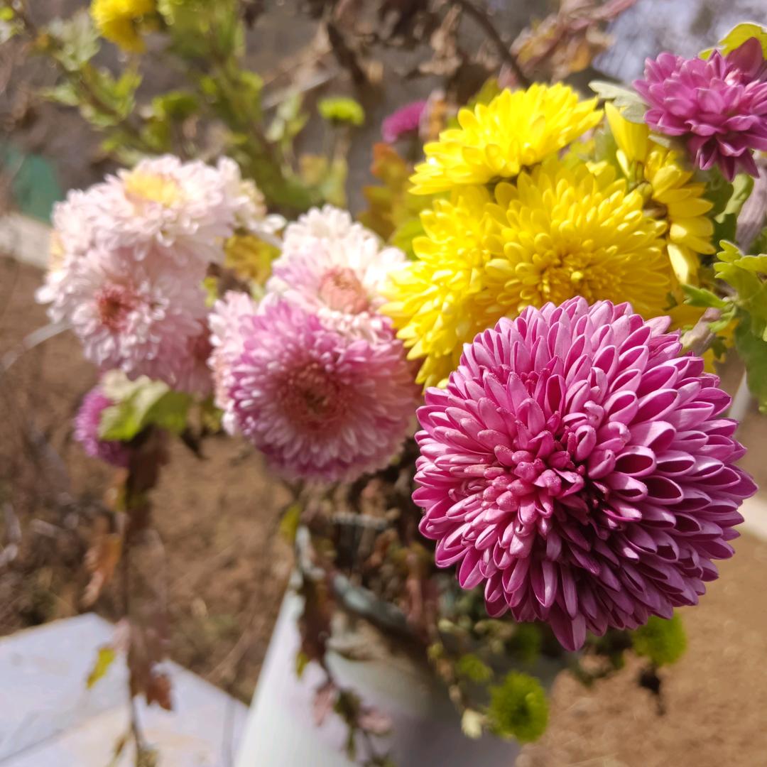 明天会更好