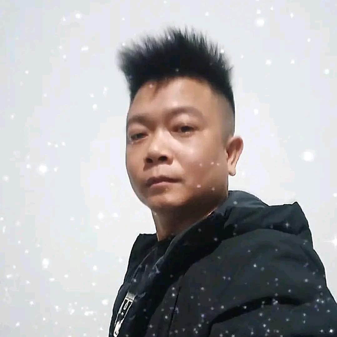 会飞的鱼