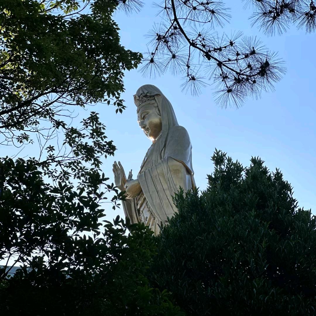 放下自在