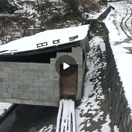 苦乐年华