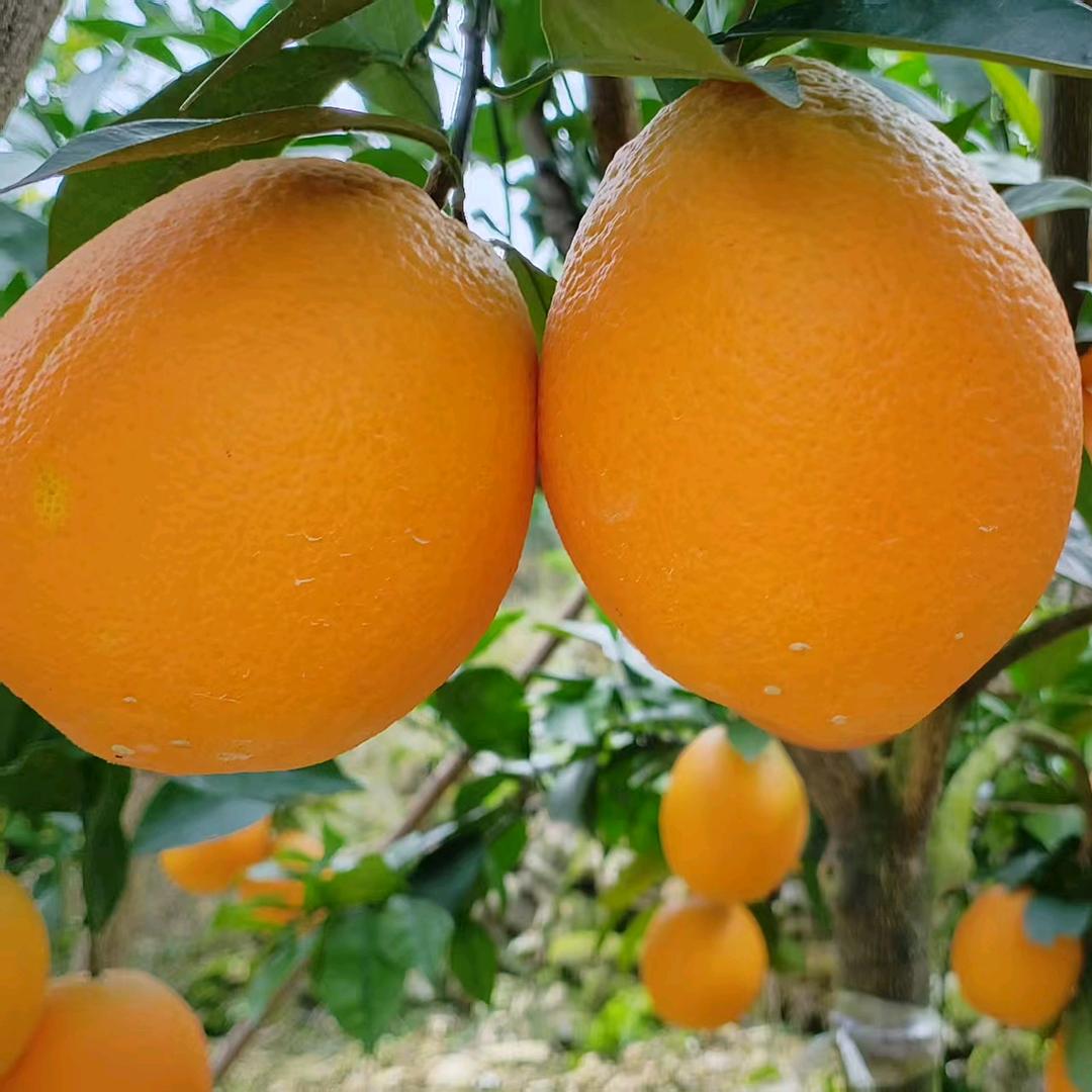 等风等雨在等你