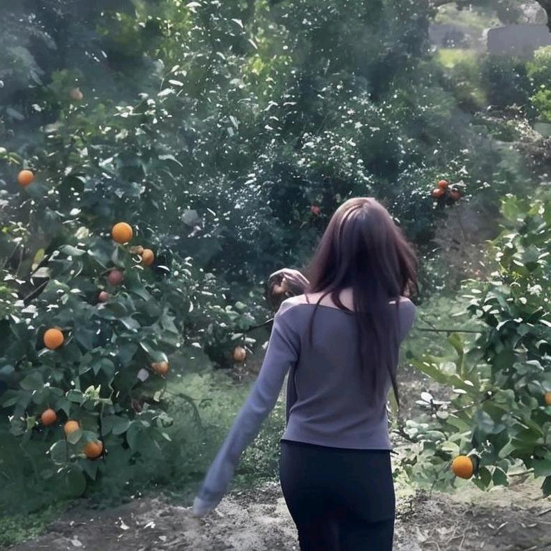 宜家好物好生活