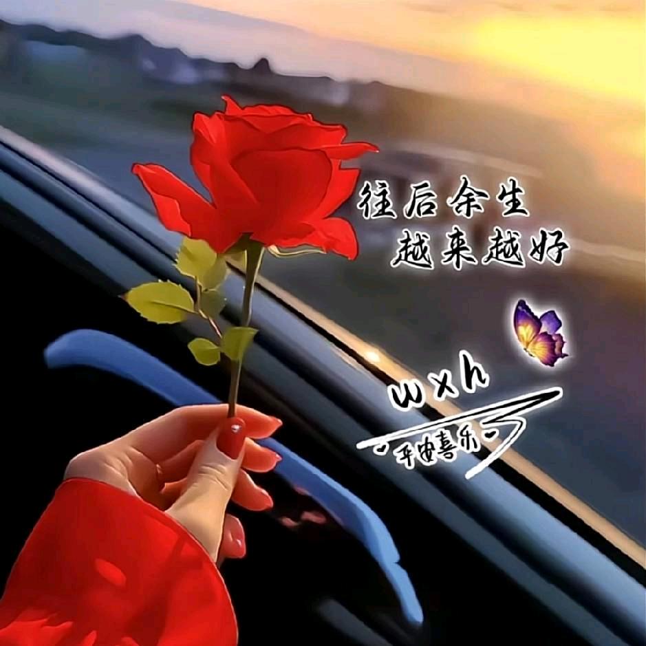 ঞ᭄兜兜💞有糖້ꦿഒᩚ࿐