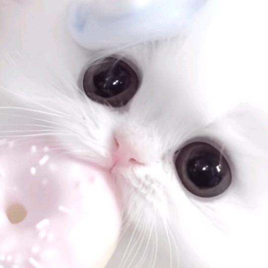 孤独的晚间