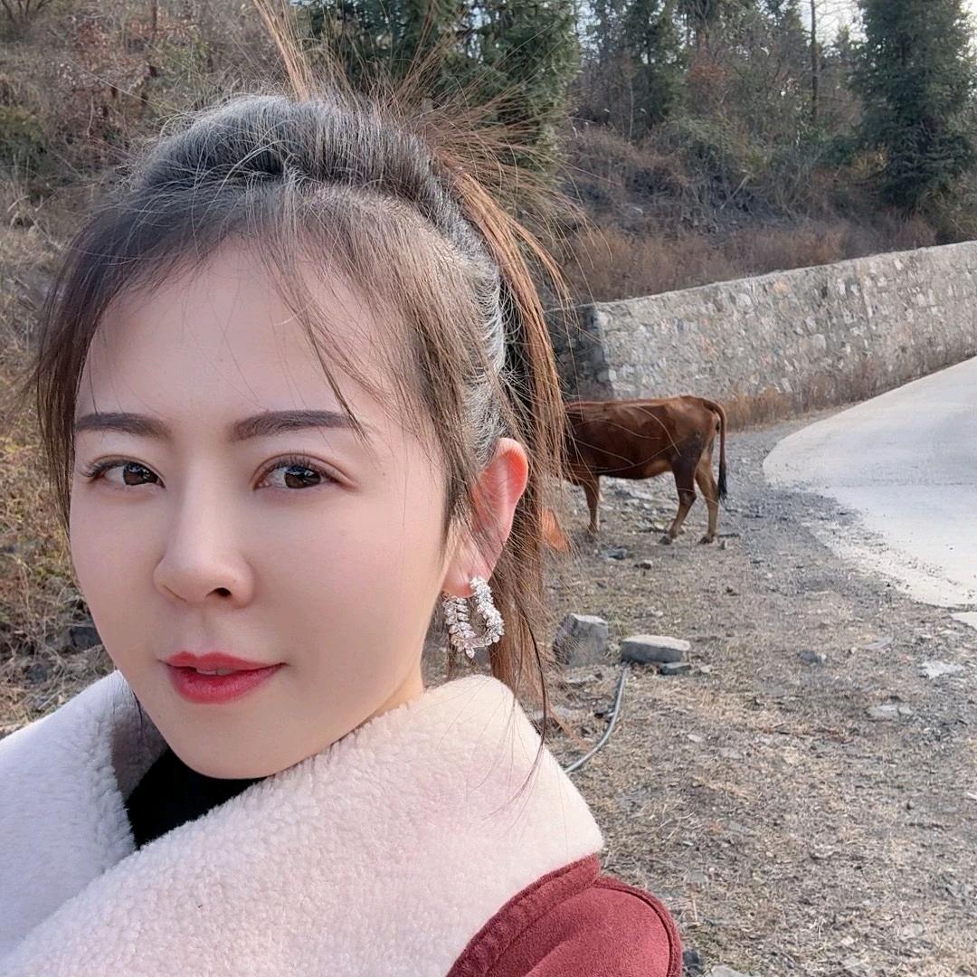 凤舞🔥木子