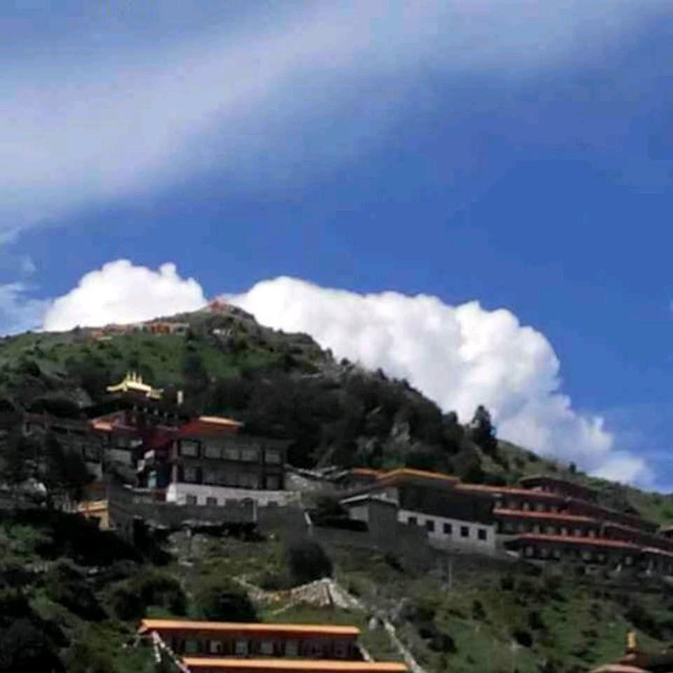 三军过后尽开颜