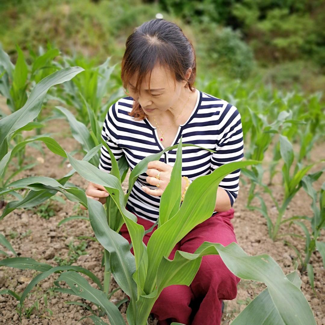 云浮淘玖玖窗帘墙布工厂