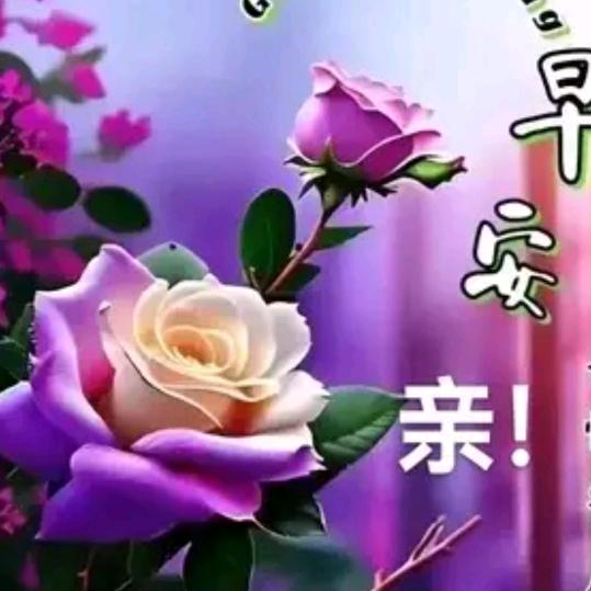 0覃春玲口林子口((🌺⥎🌺))🌹
