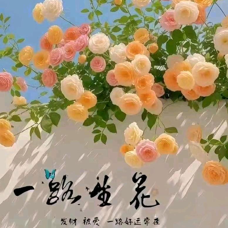 🌼᭄好运ꚸ加满Չᐝ࿐ᩚ