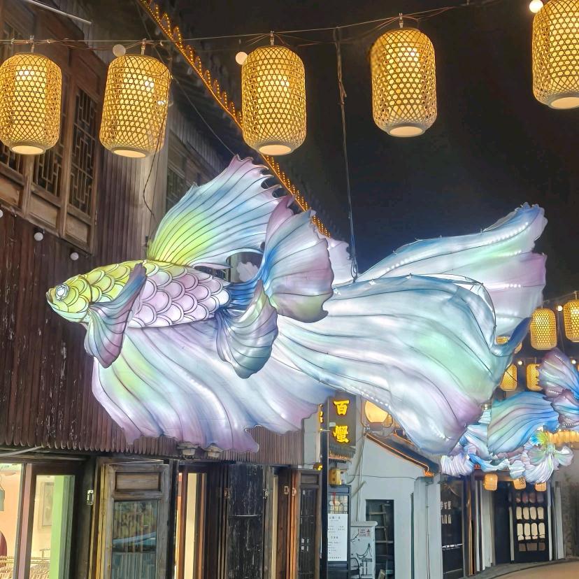 一丨💫
