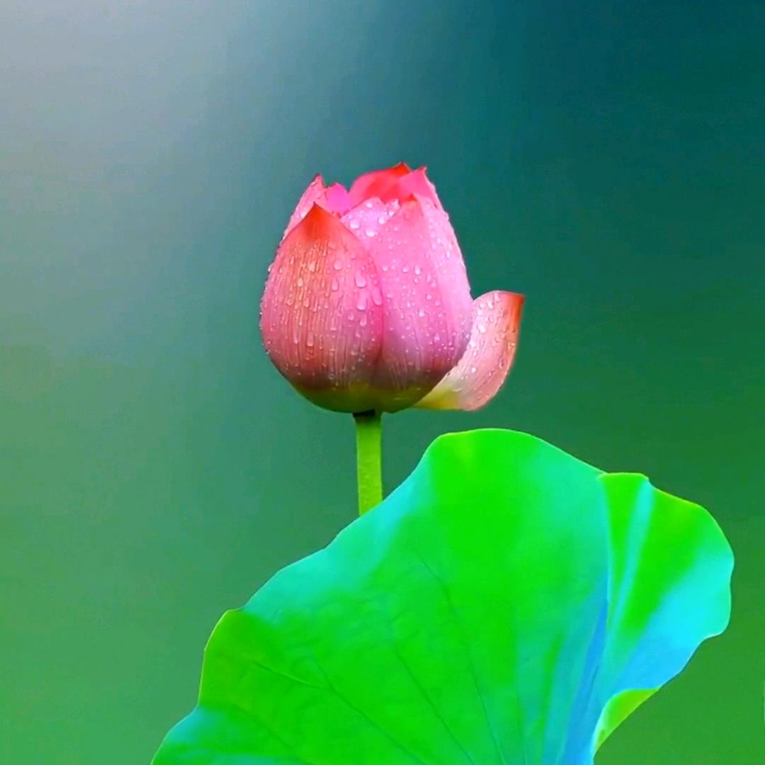 逆袭🍀