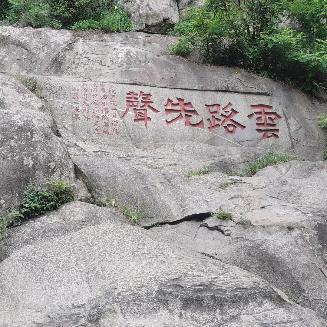 车行