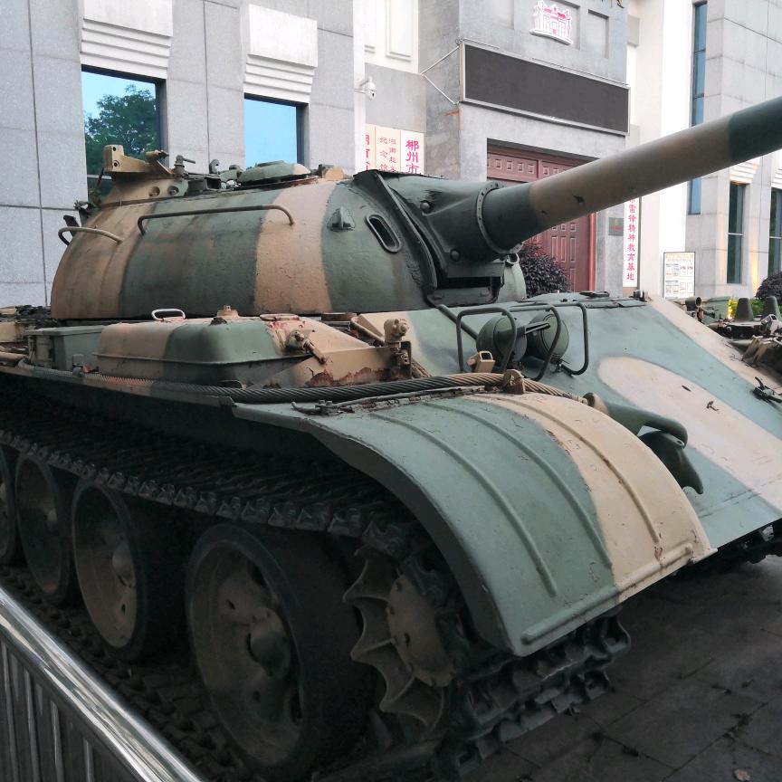 小鸟爱大树