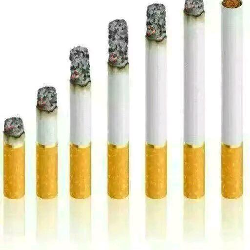心连心
