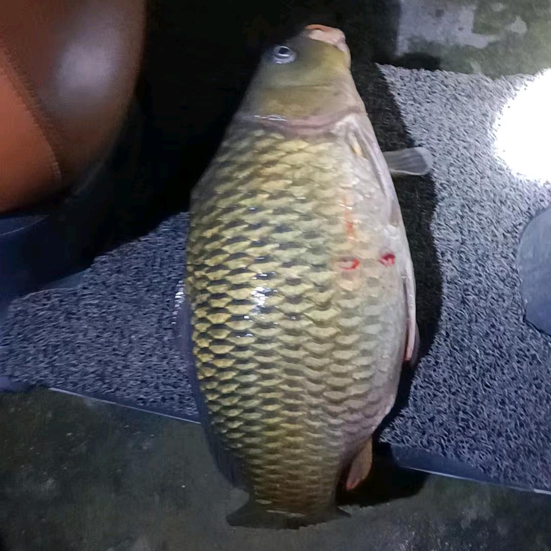 户外