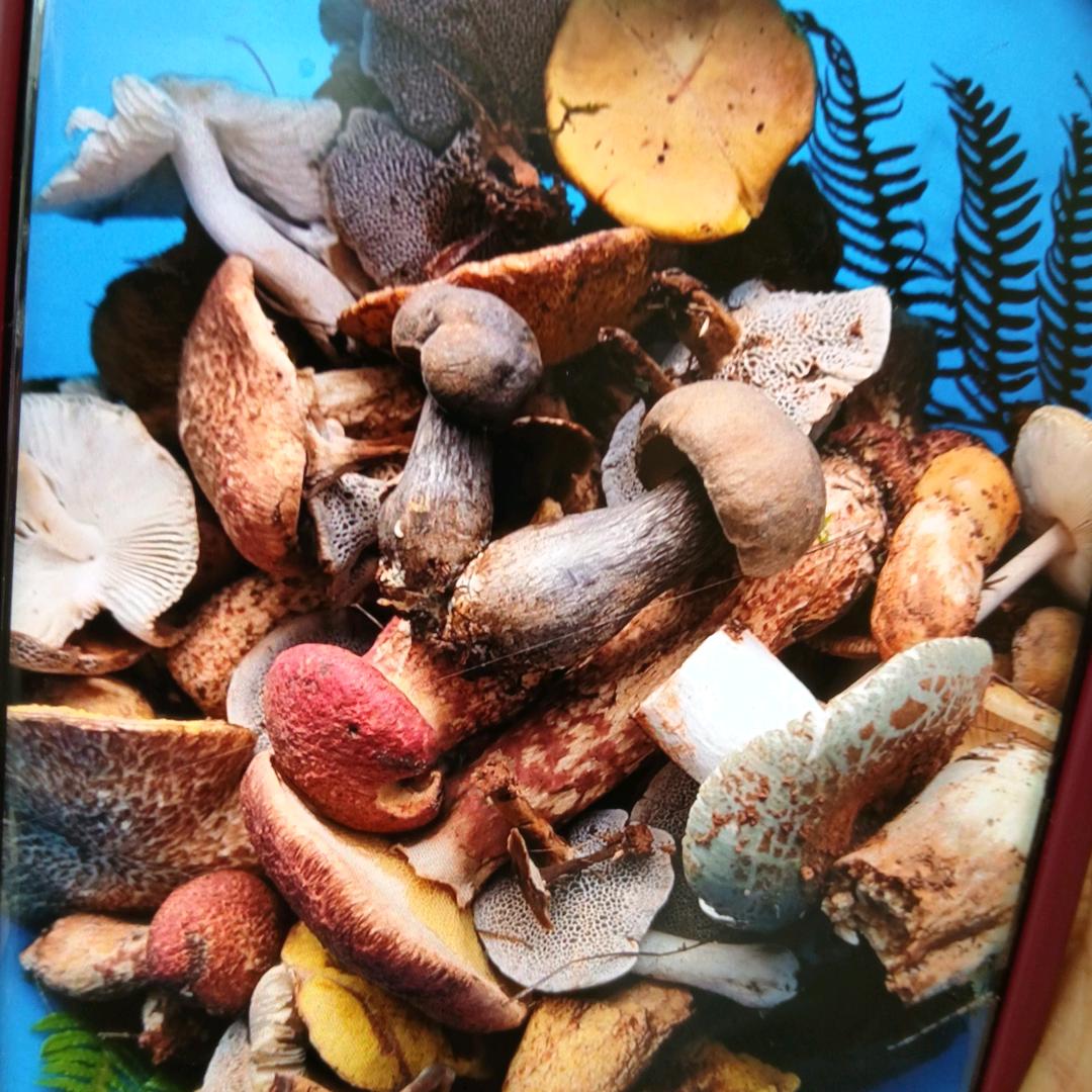 往事清零爱恨随意