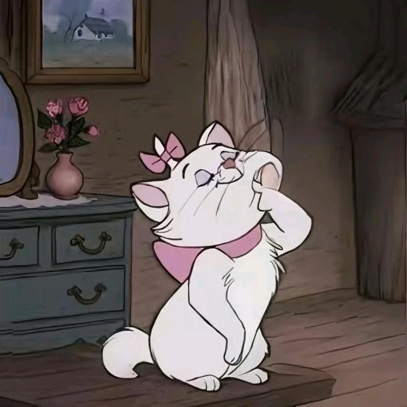 小绵杨杂货铺～