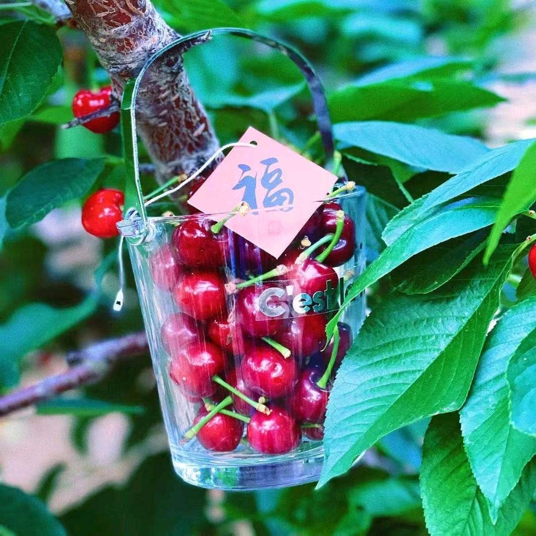 沐宸农业优品小铺