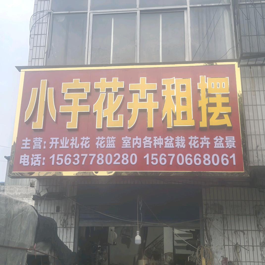 小宇花卉绿植