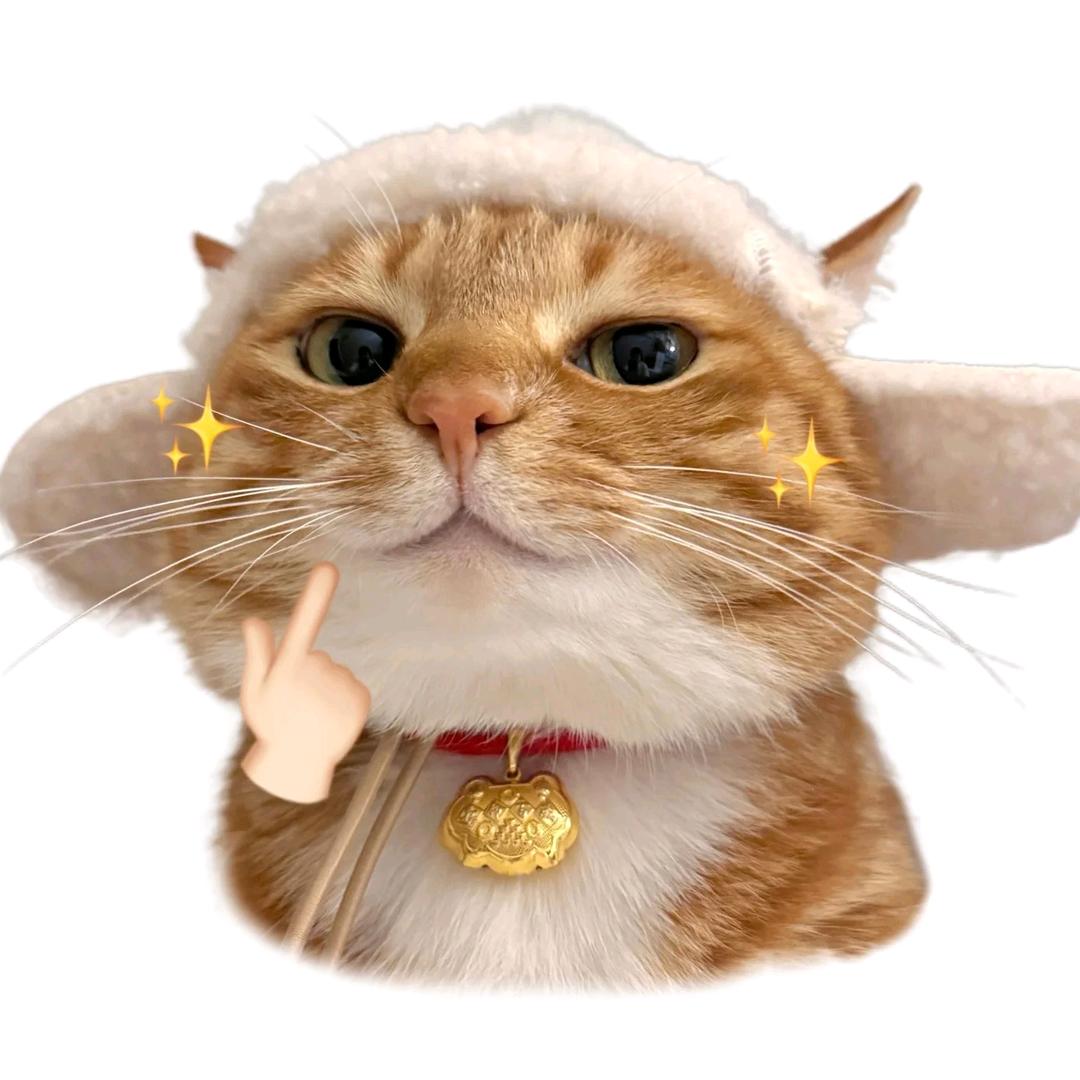 鱼鱼。