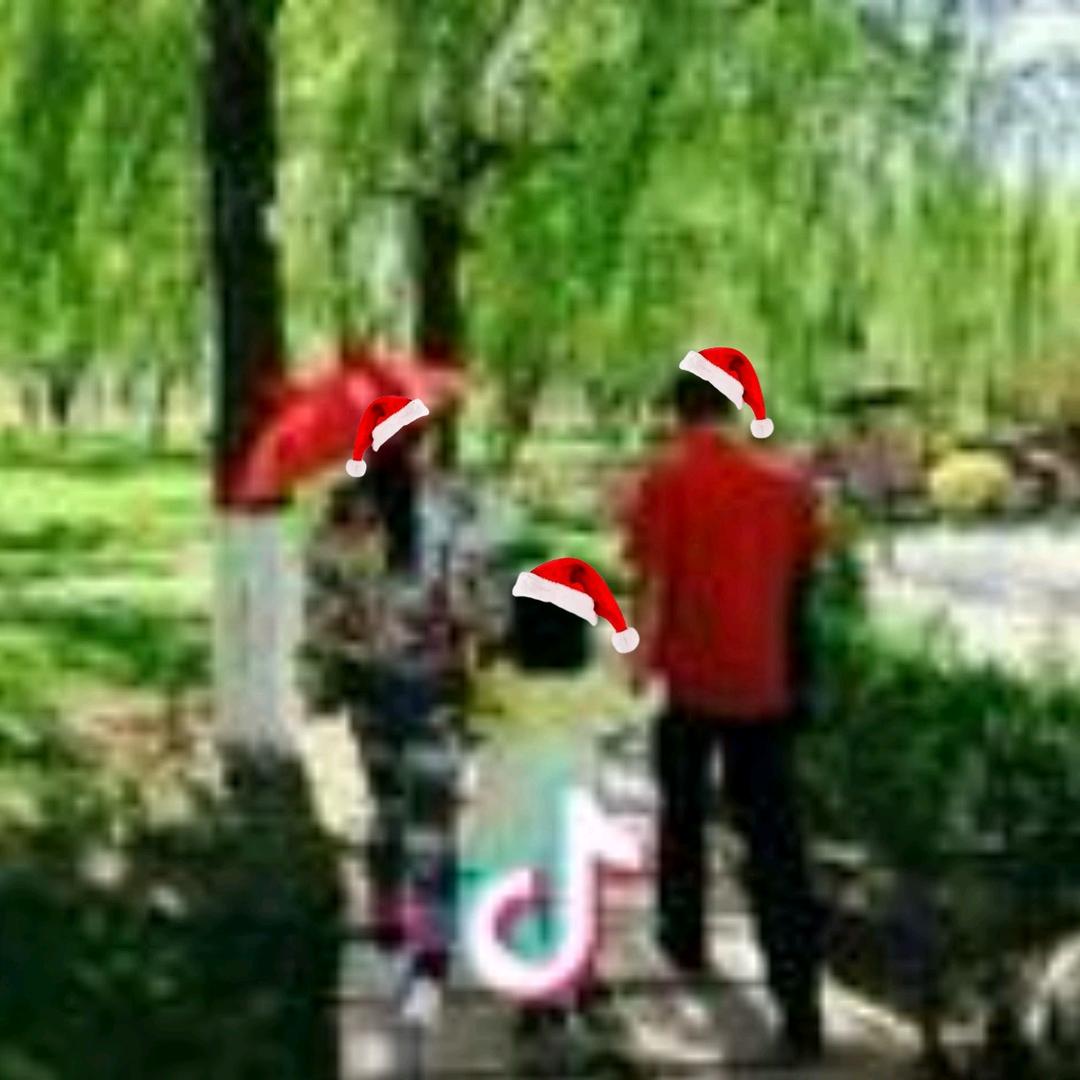 🌸云销雨霁🎶