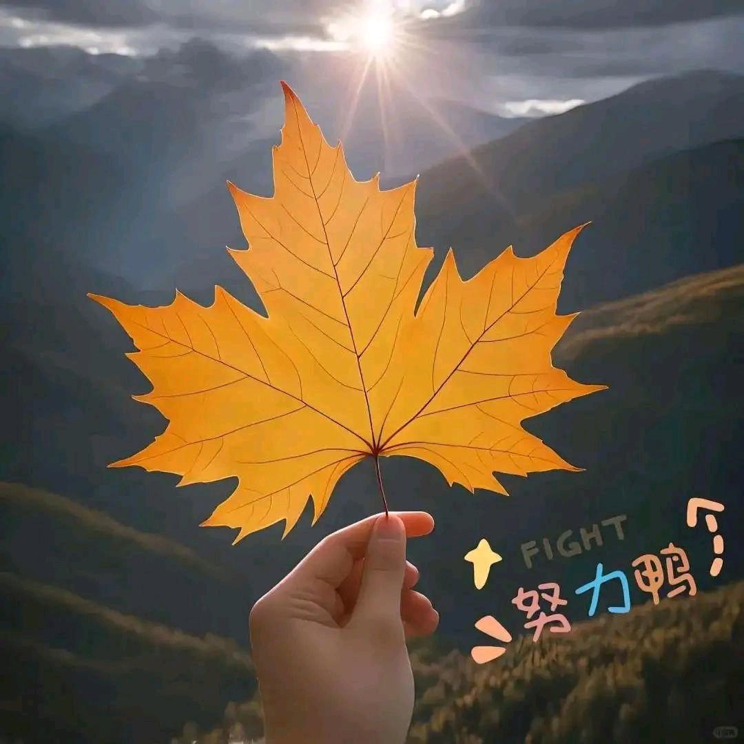 🍂᭄余生᭄不将就💞