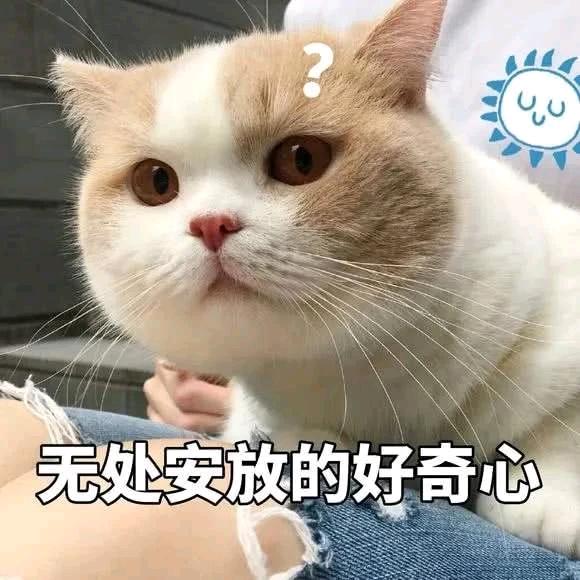 半梦 🦴