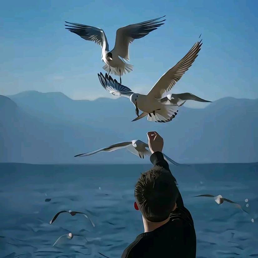 《鹤唳华亭》