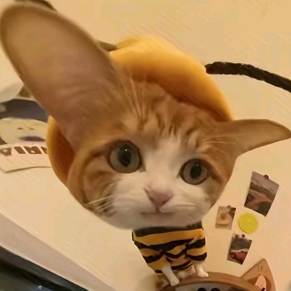 哈根（黑皮下水道进阶版）