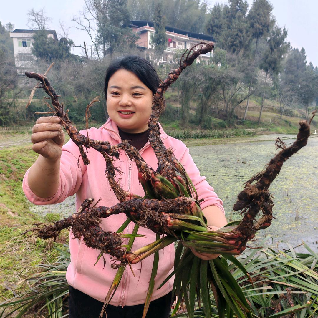 夏妹山货圈