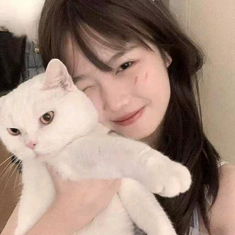 ♡冰糖雪李♡